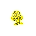 Golden Sunflora